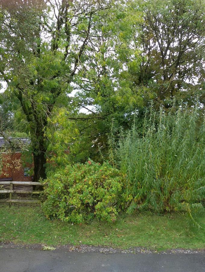 20 The Glade, Bideford Bay Holiday Park 外观 照片